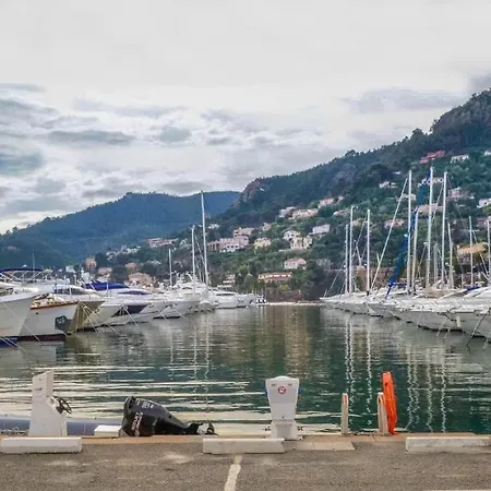 Ile De Cannes Marina Xviii 3443007 Mandelieu